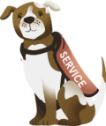 service dog with vest