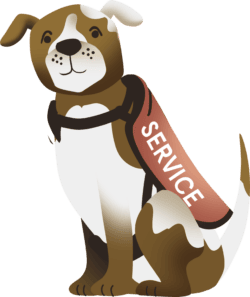 service dog with vest